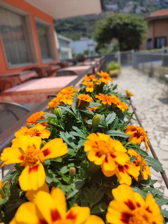 Albergo Villa Mimosa 토르볼레 외부 사진