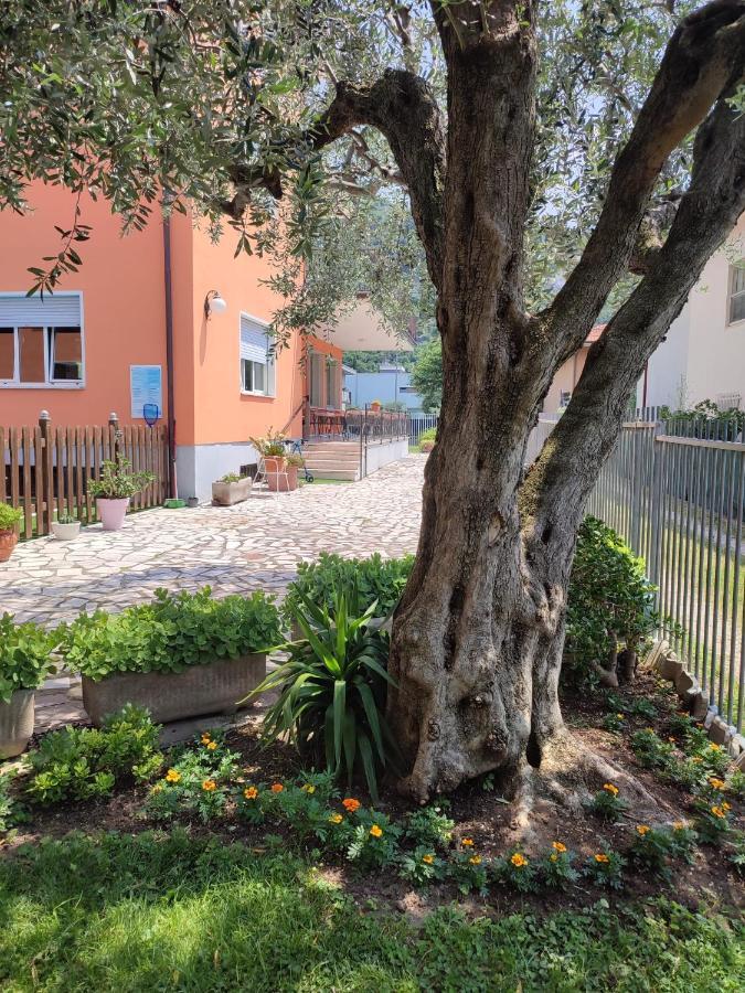 Albergo Villa Mimosa 토르볼레 외부 사진