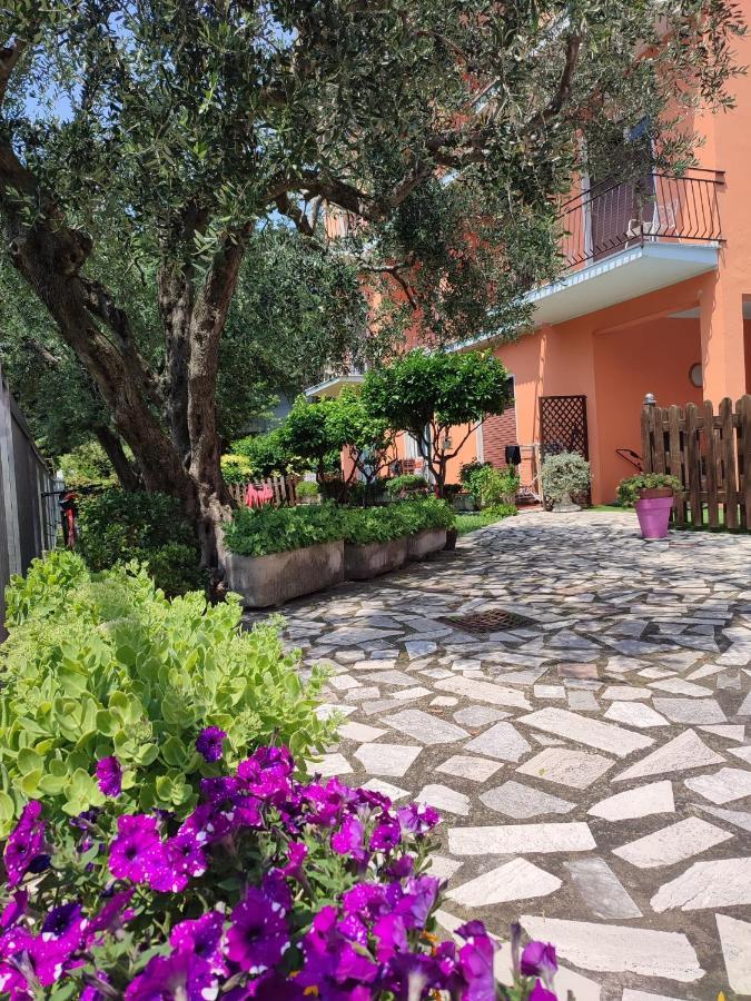 Albergo Villa Mimosa 토르볼레 외부 사진