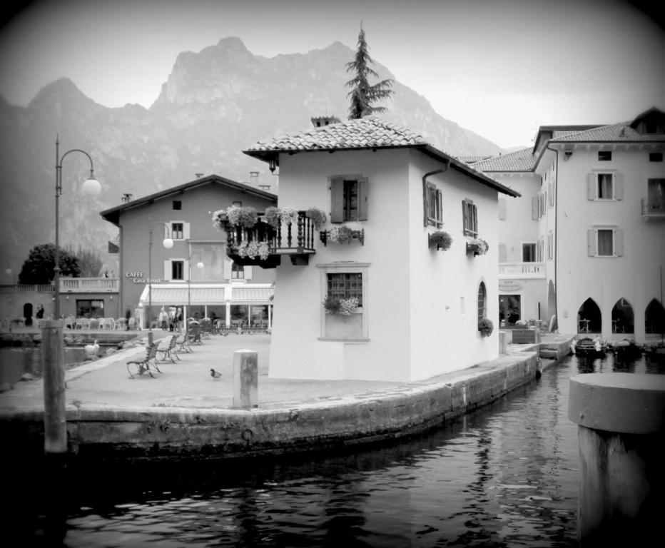 Albergo Villa Mimosa 토르볼레 외부 사진